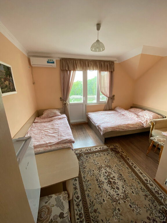 Фото Дельфин