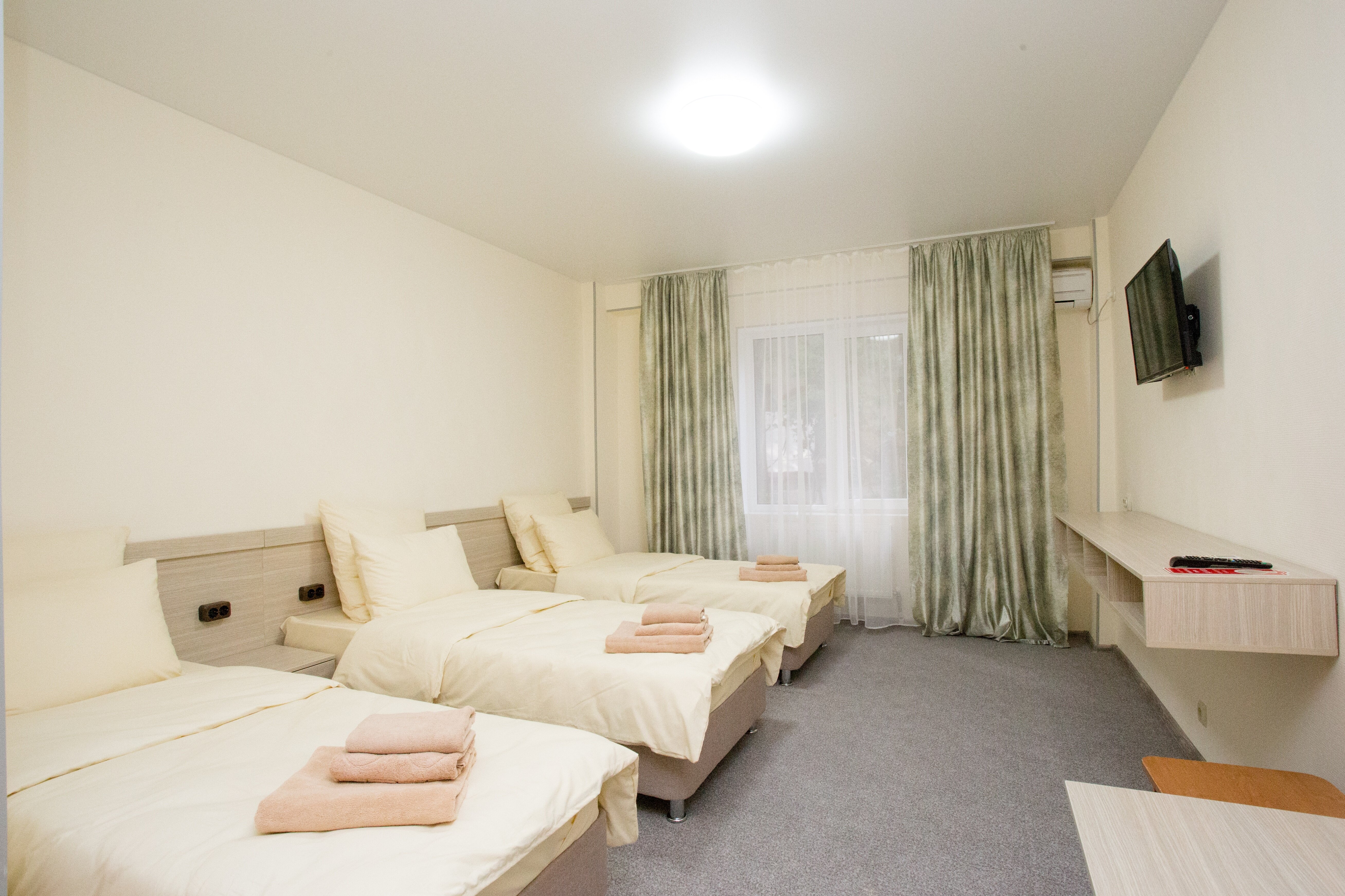 Фото Цитрус