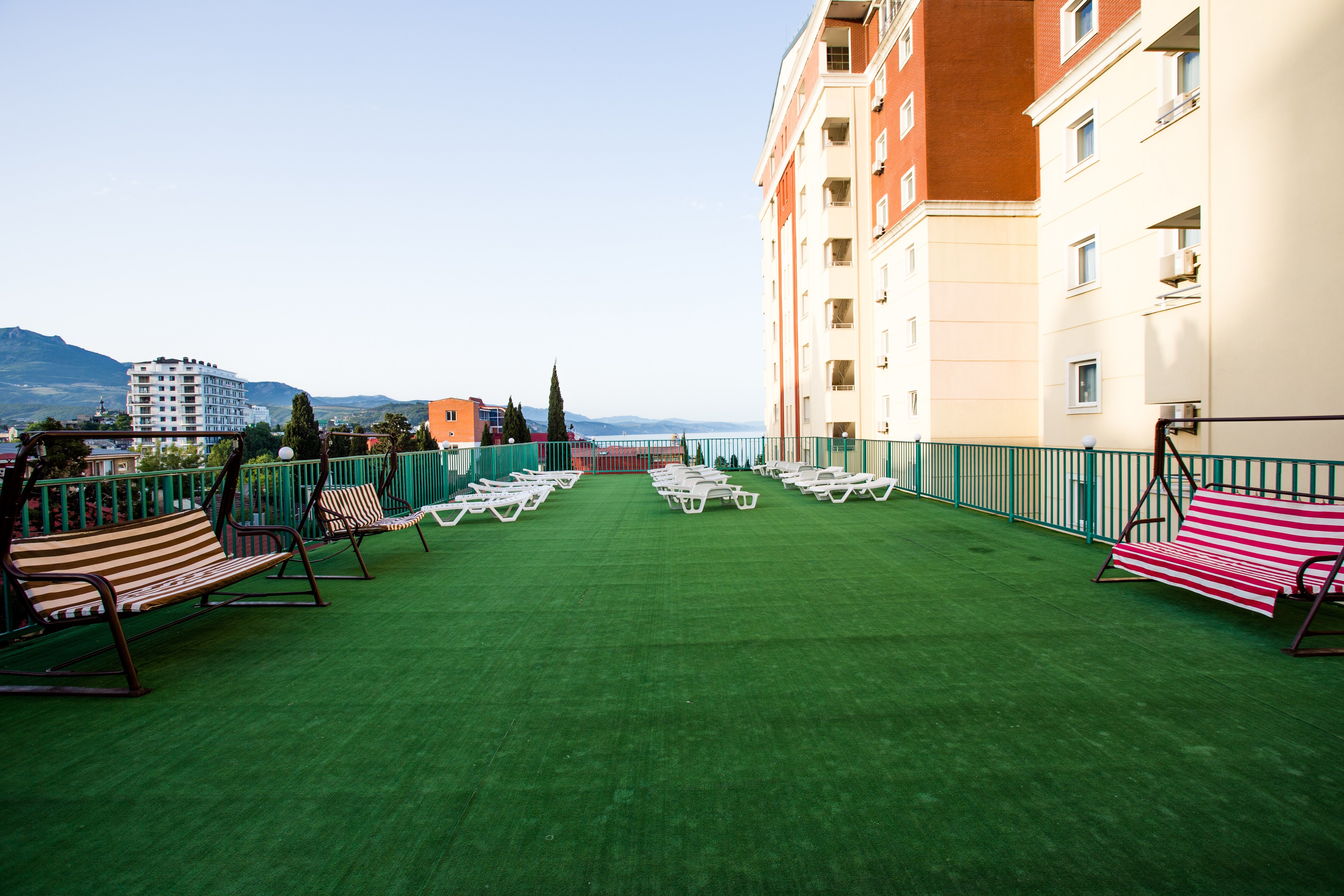 Фото Цитрус