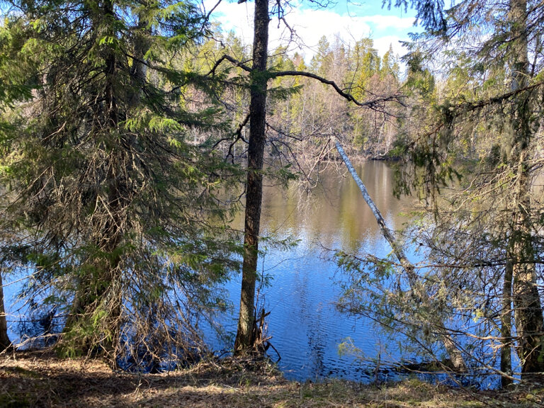 Chapel, memorial cross Поклонный крест, Republic of Karelia, photo