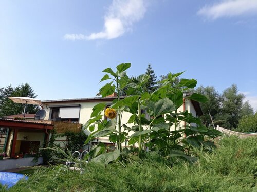 Жильё посуточно Cozy Apartment in Alt Bukow Germany With Garden