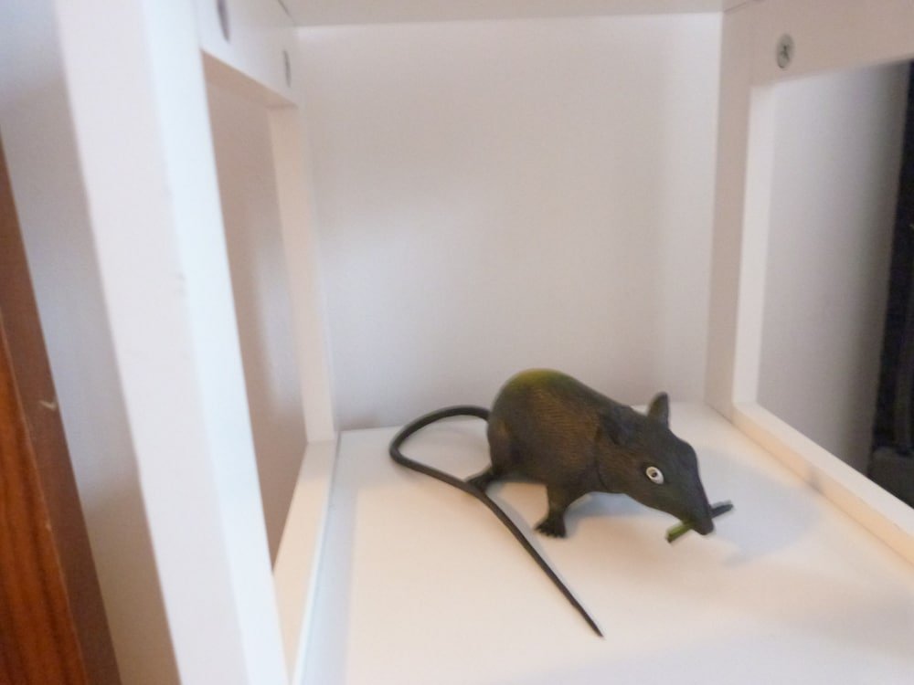 Фото Spinners End