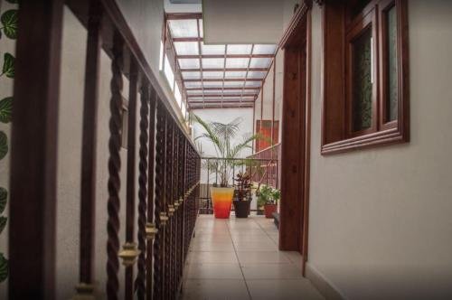 Фото Hotel Magnolia