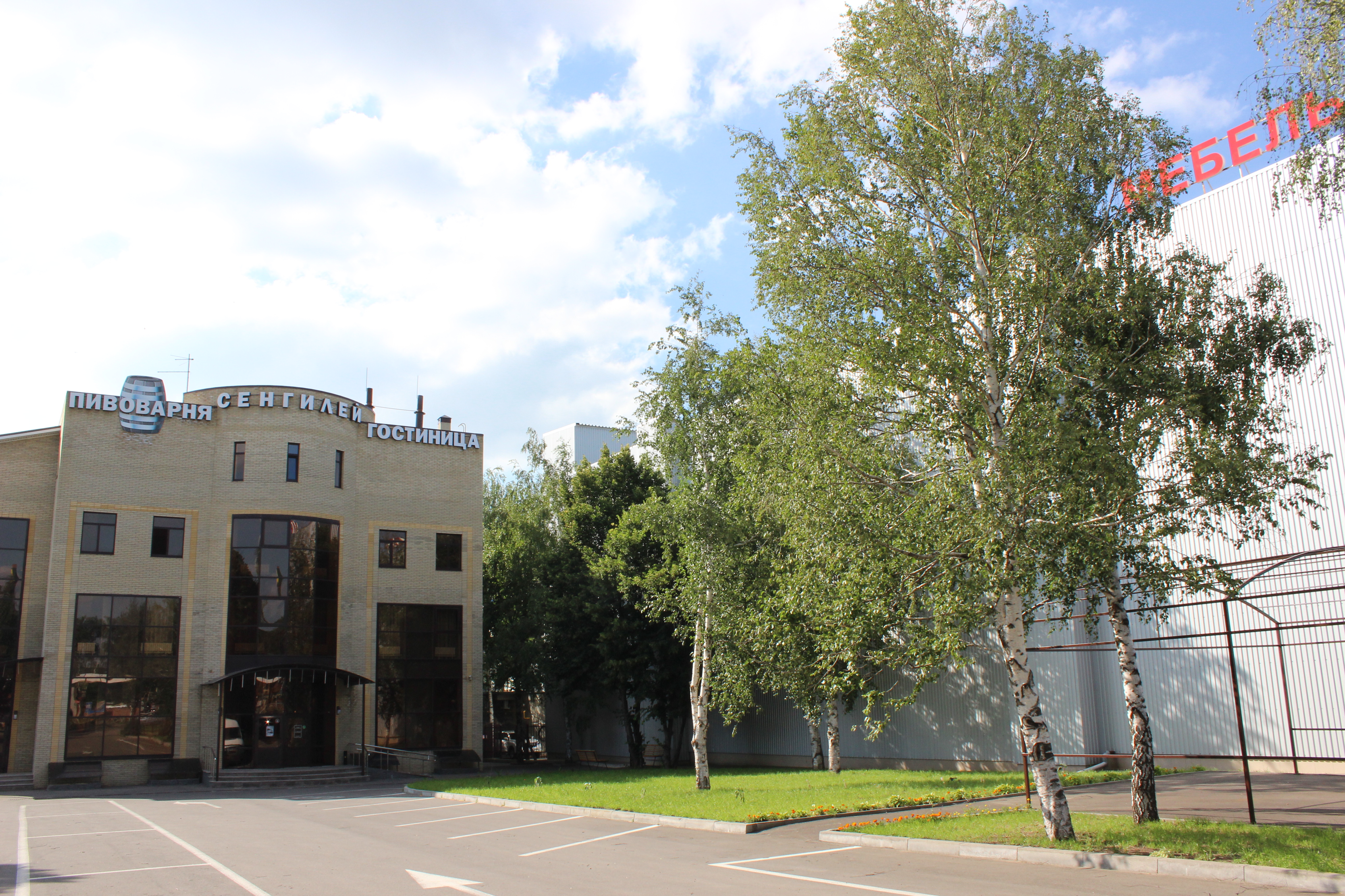 Фото Сенгилей