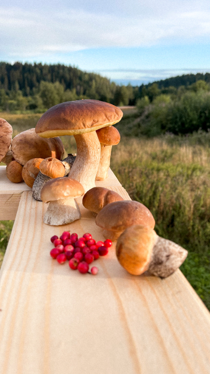 Фото Parkonmaki Village