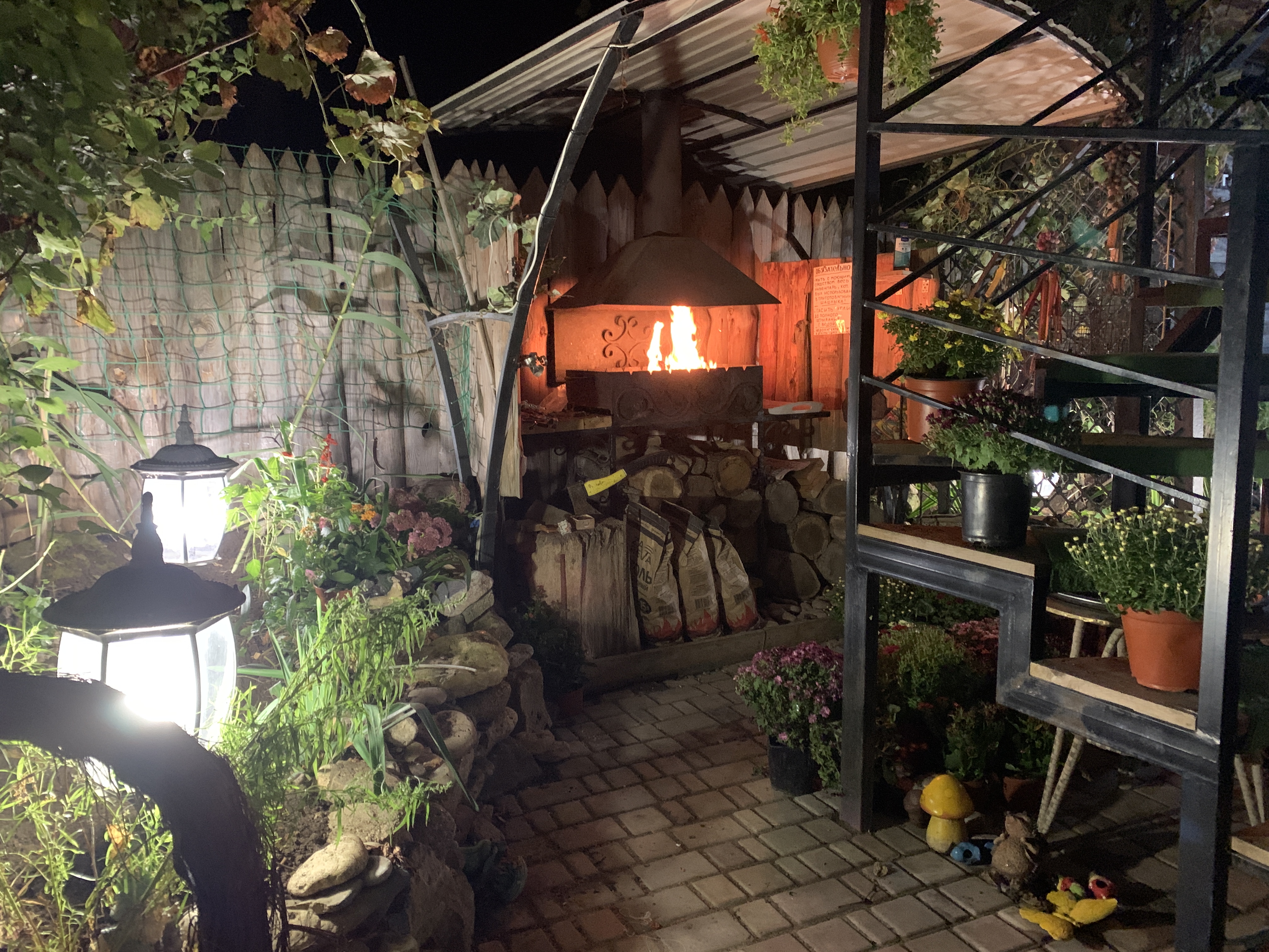 Фото Морелюб