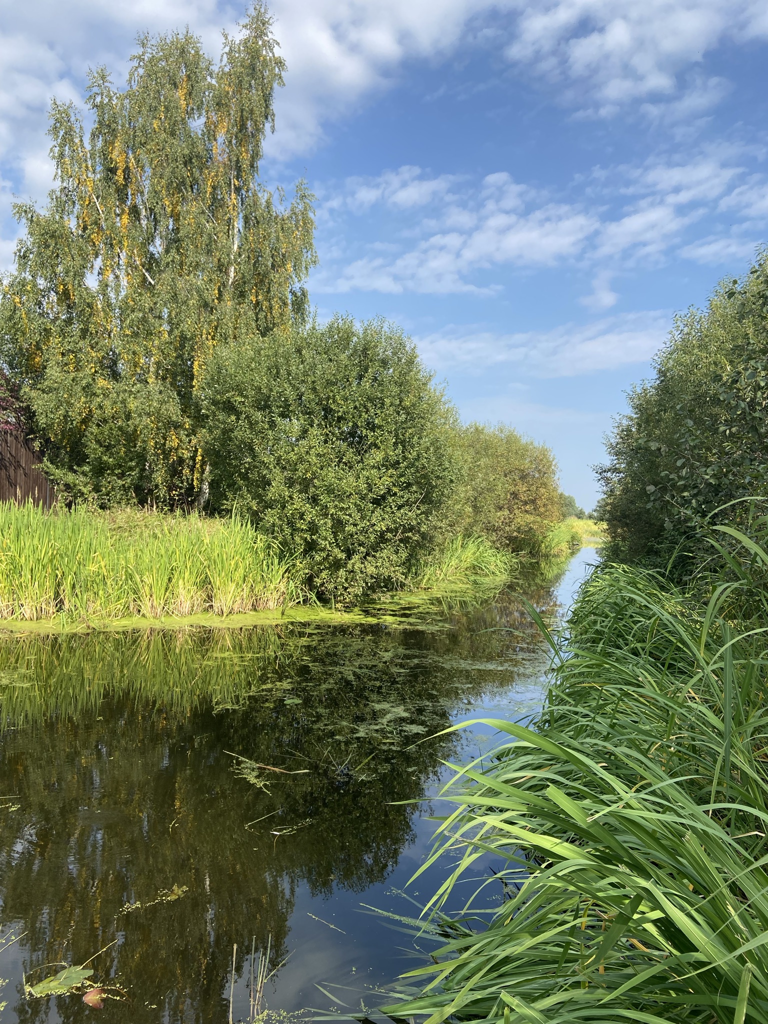 Фото The Поле