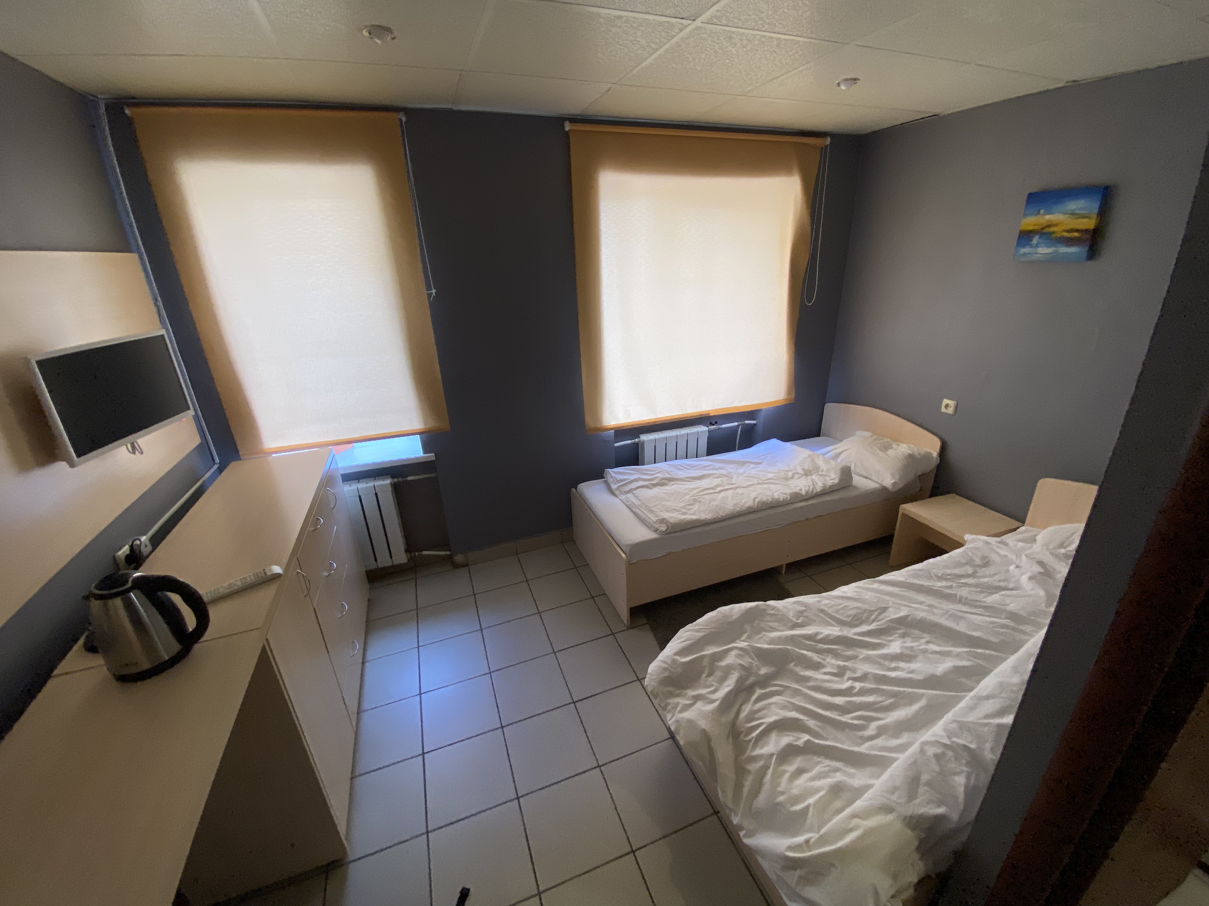 Фото Альбатрос