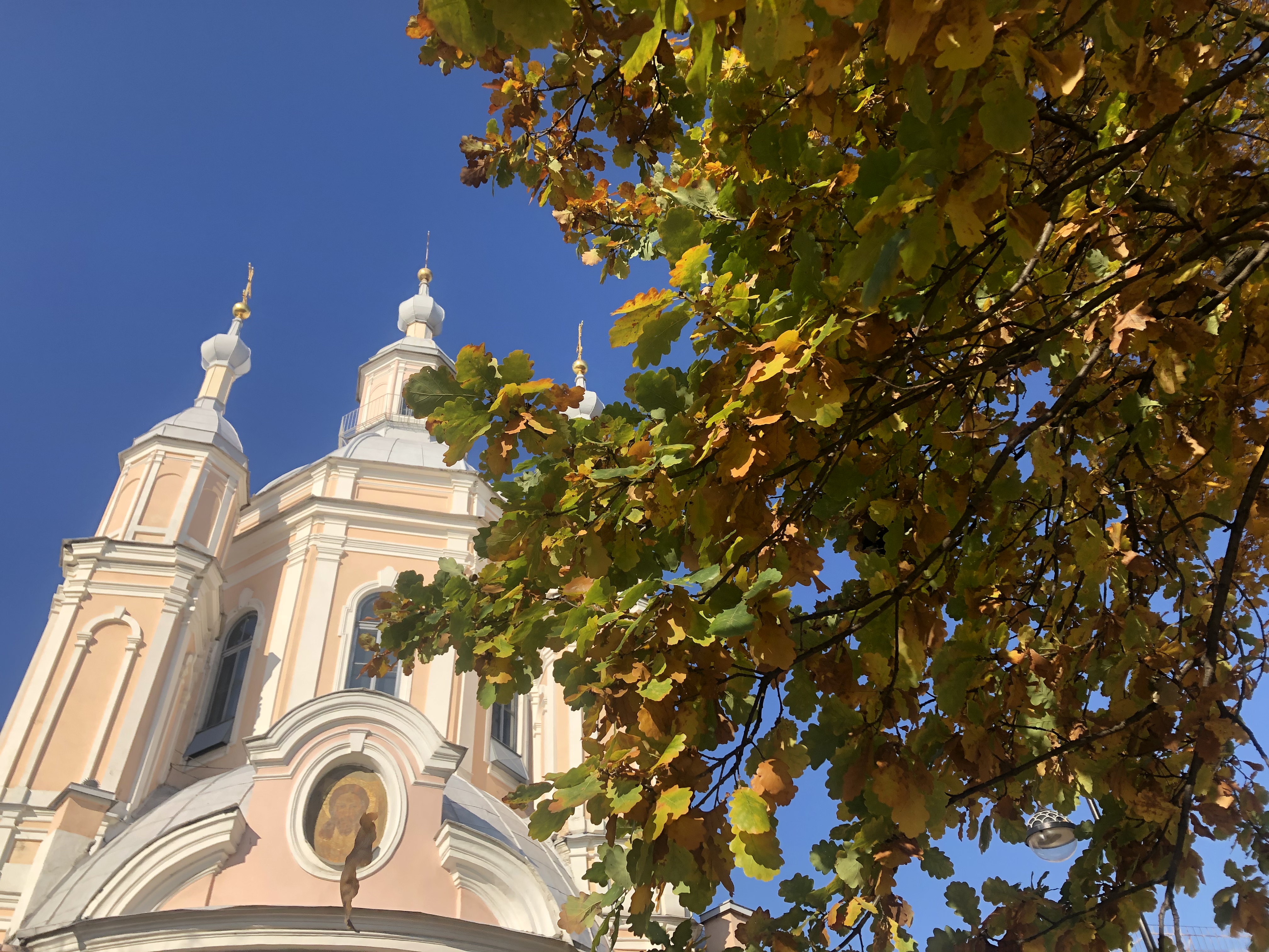 Фото Трезини Арт Отель