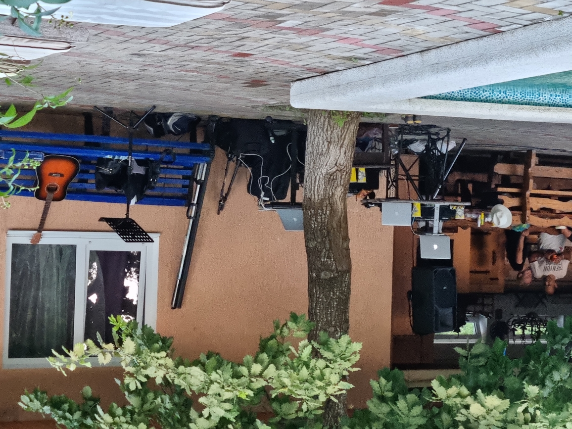 Фото Курочка Ряба