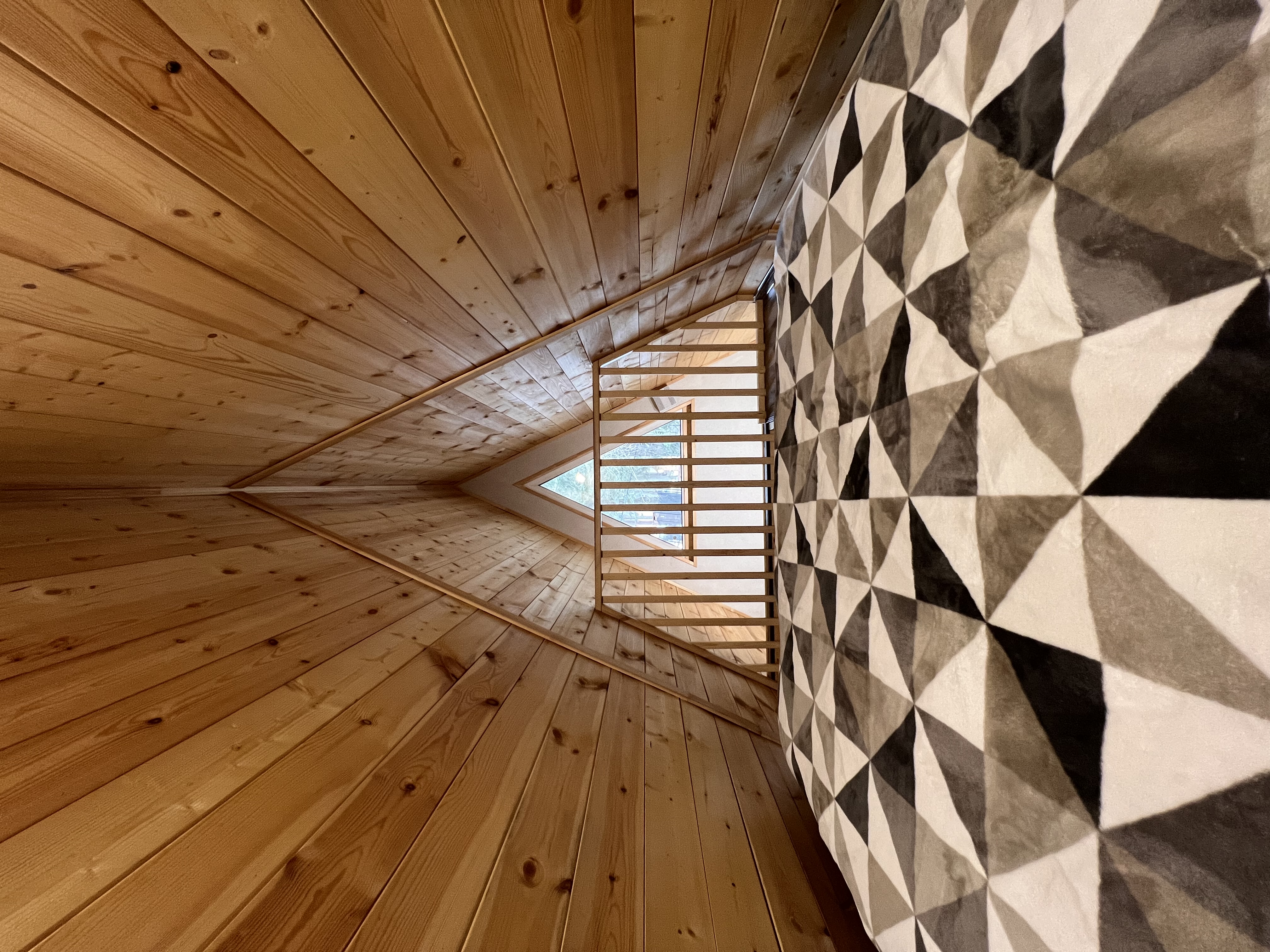 Фото Ёлки House