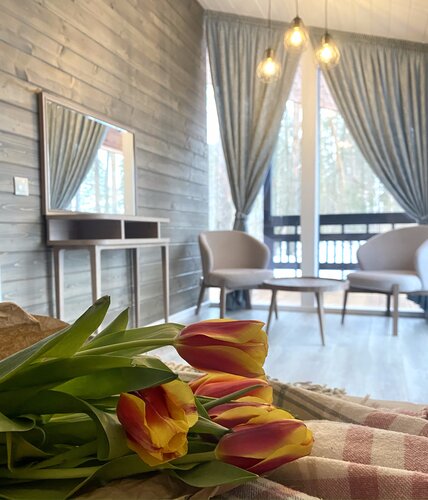 Дом отдыха Ёлочка в Коломне