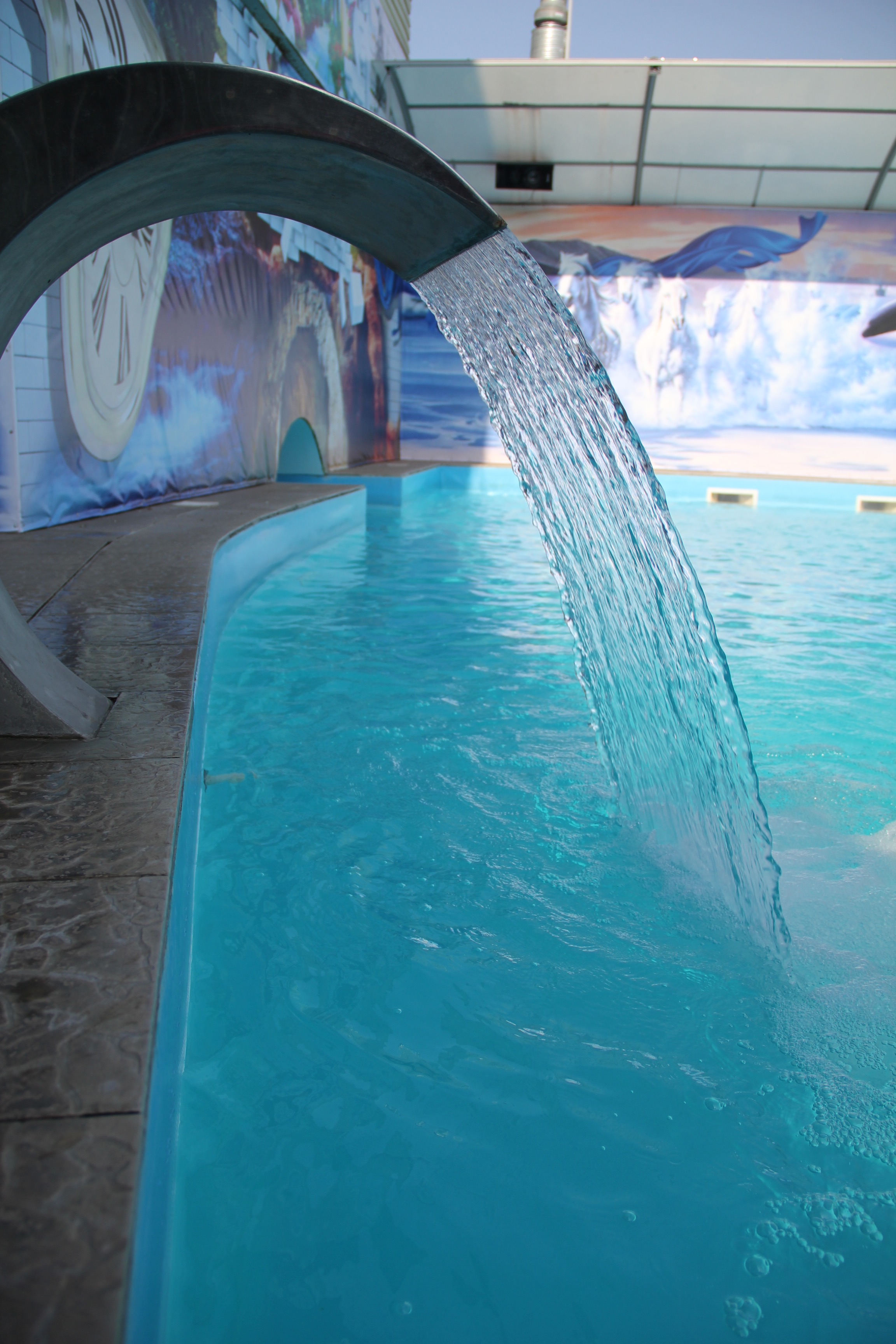 Фото Коралл фемели