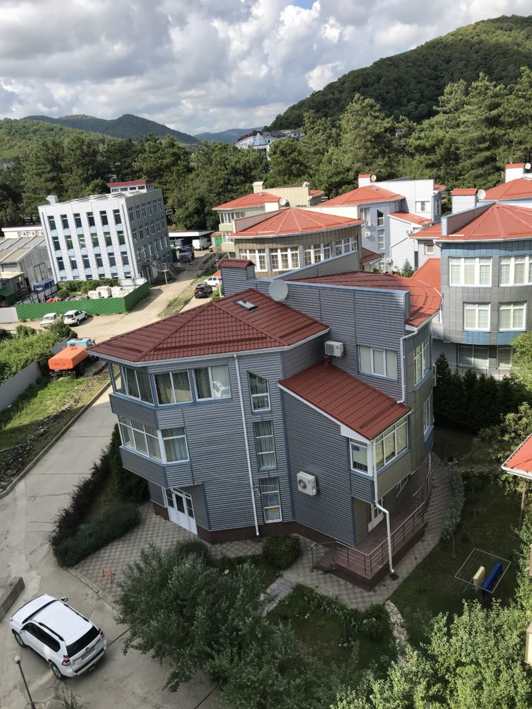 Фото Лаванда