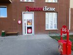 Krasnoe&Beloe (Universiteteskaya Naberezhnaya Street, 97), tienda de productos