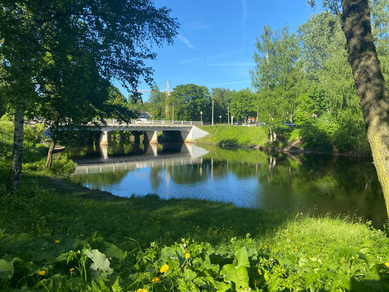 Парк культуры и отдыха Большой Ильинский сад, Санкт‑Петербург, фото