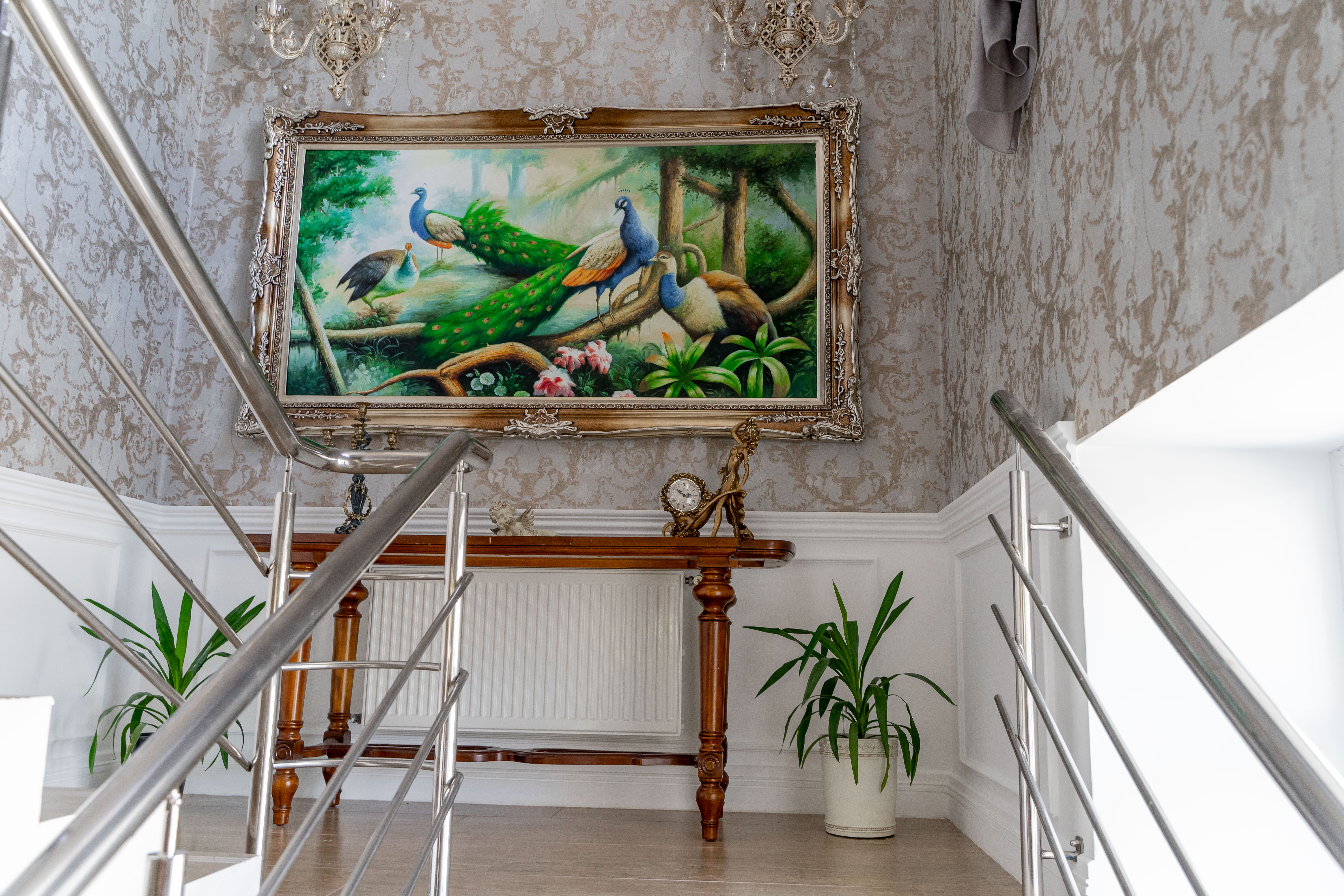 Фото Калина