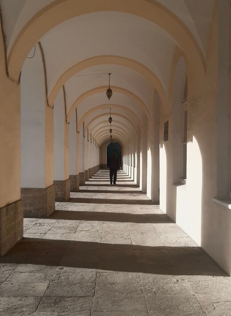 Education infrastructure Saint-Petersburg State University, Institute of History, Saint Petersburg, photo