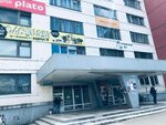 Service Trade Online (Kujbyshava Street, 22), computer repairs and services