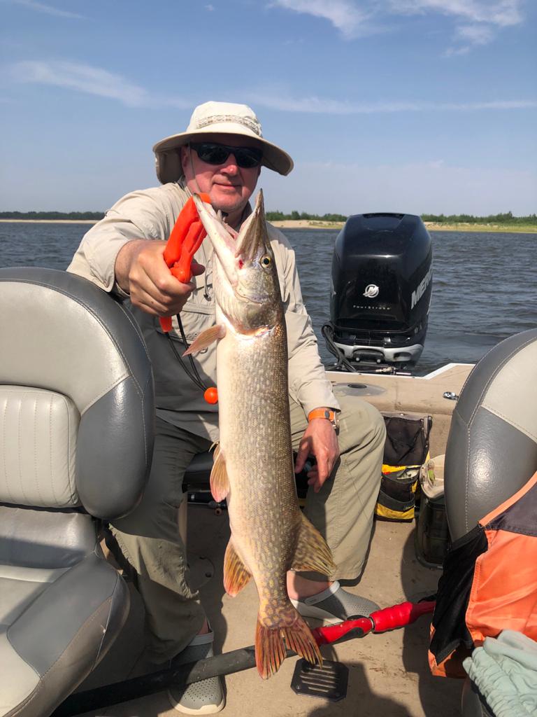 Фото Авалон