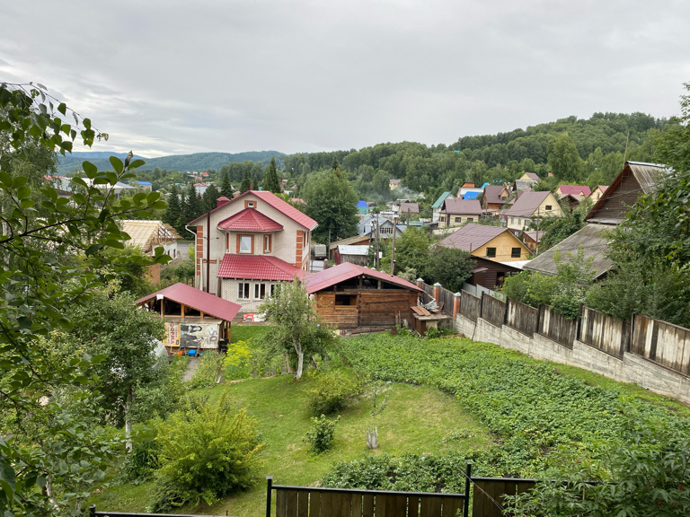 Фото Рыжий пёс