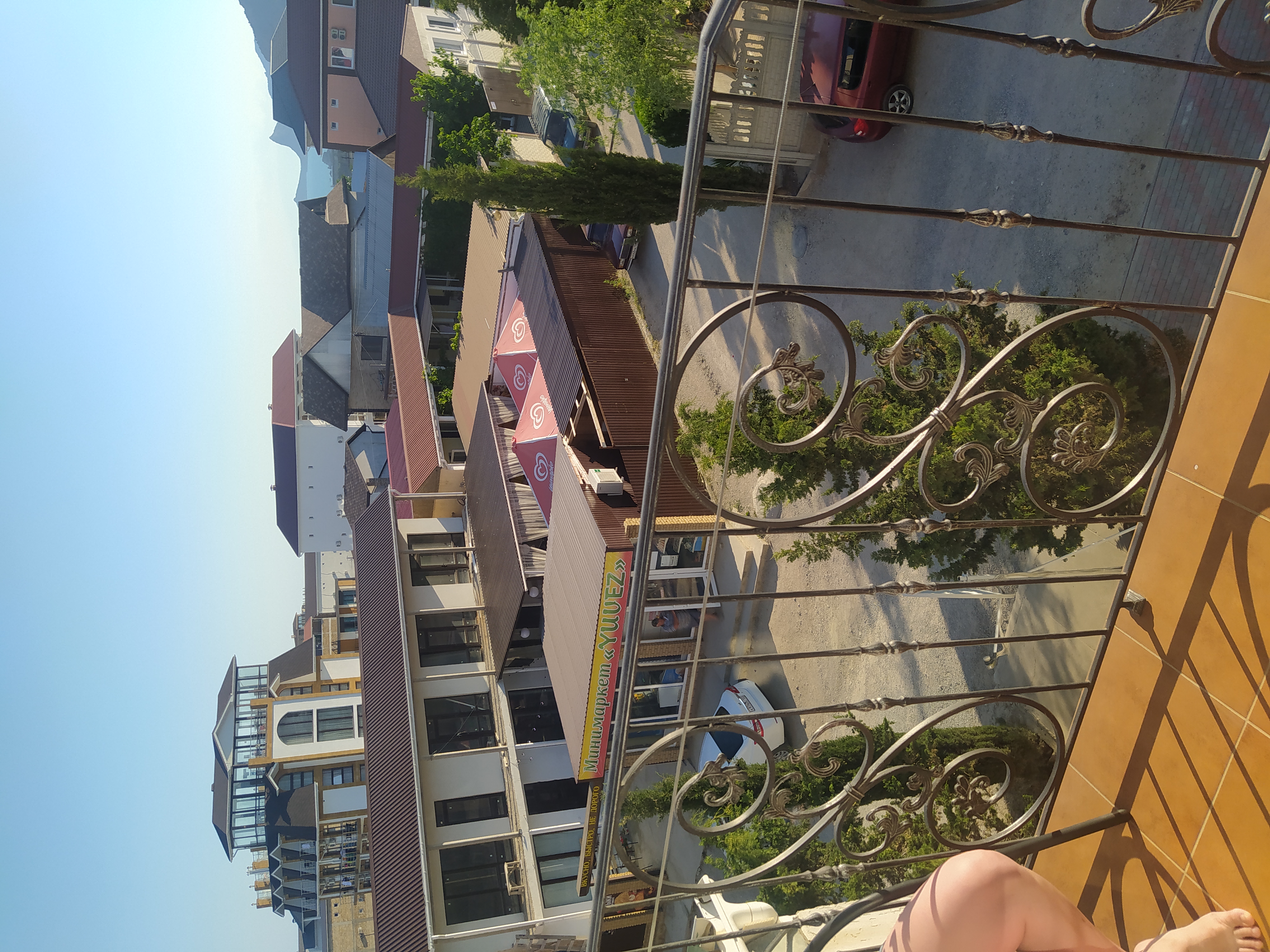 Фото Колибри