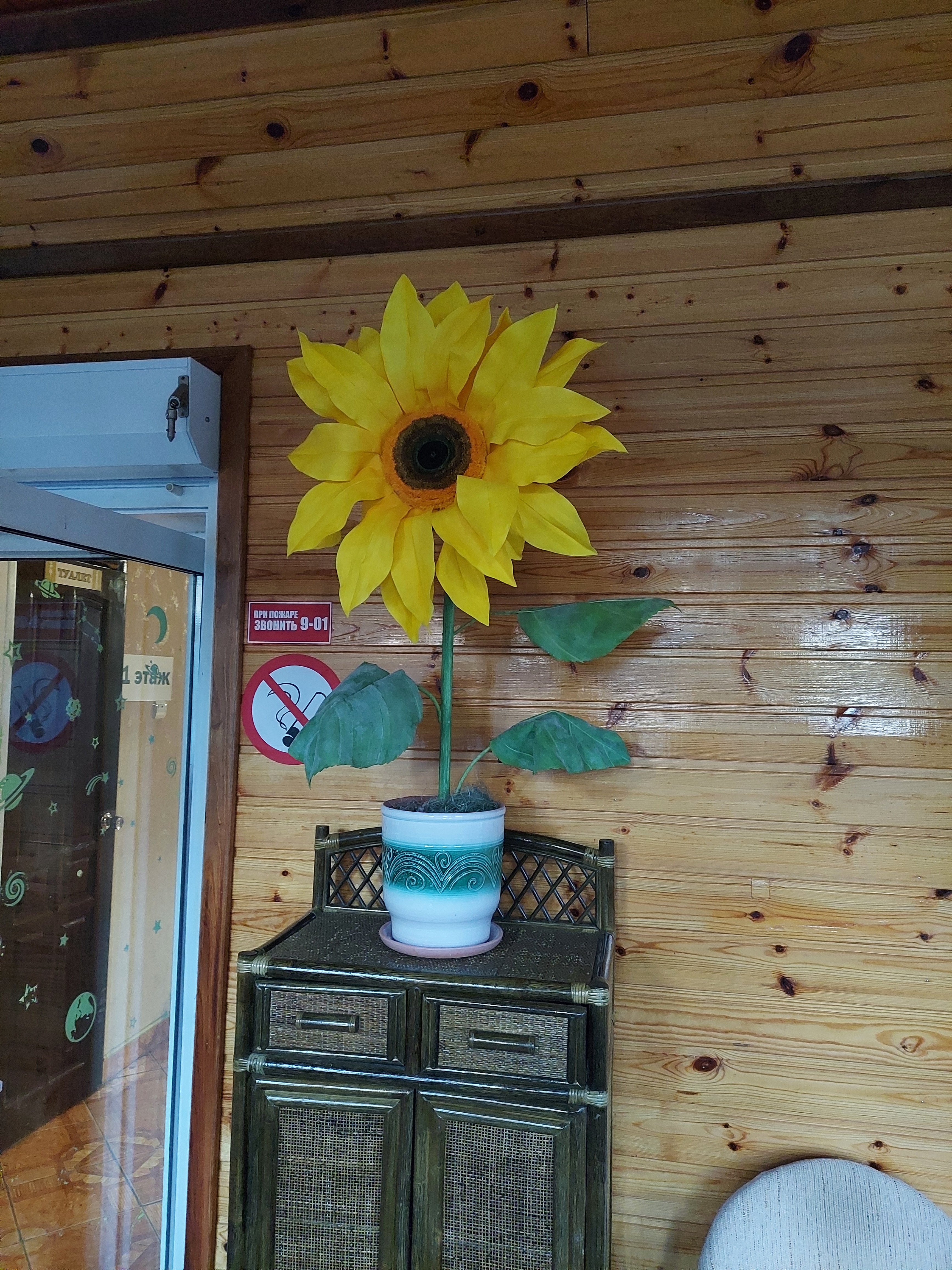 Фото Солнышко