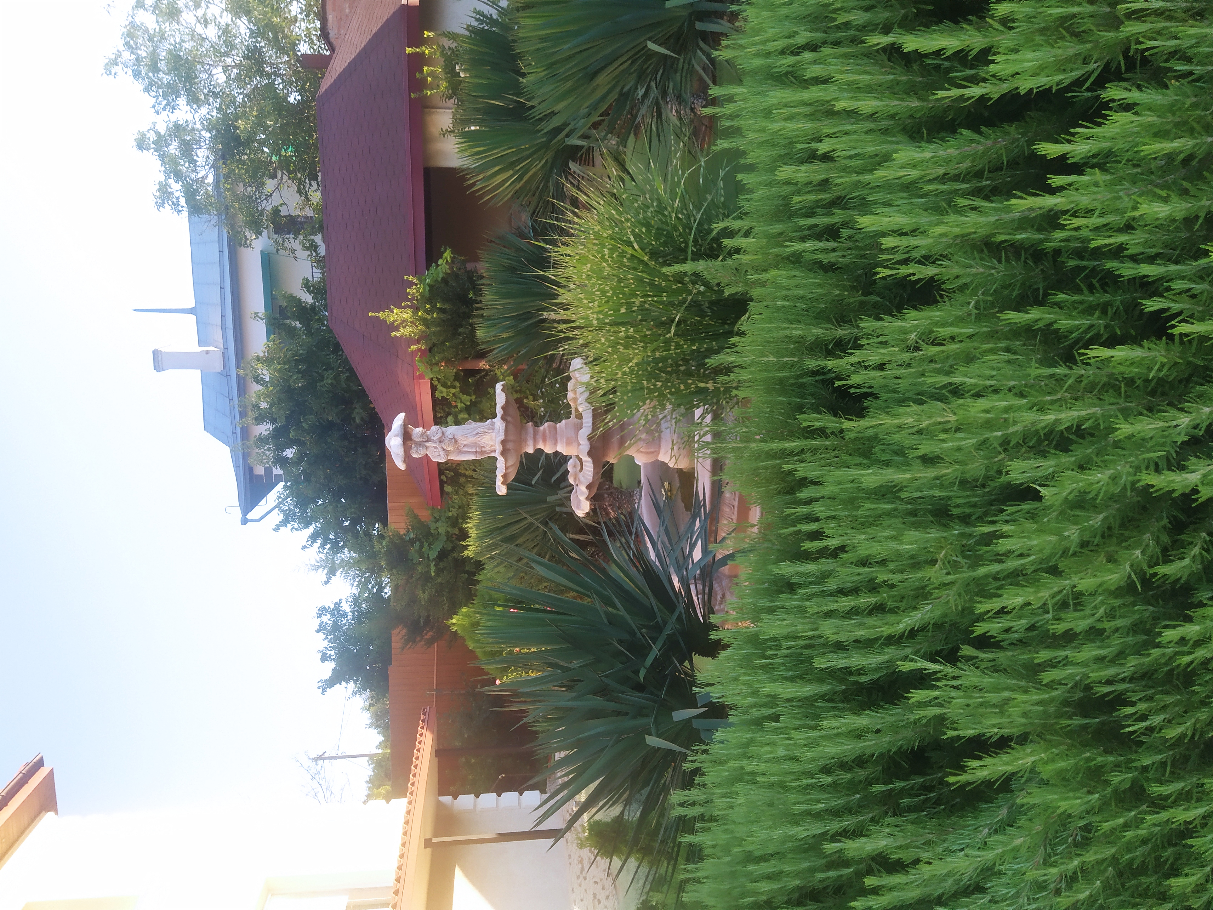 Фото Легкий Бриз