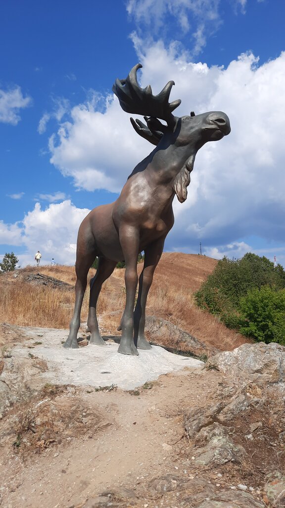 Genre sculpture Лось, Nizhniye Sergi, photo
