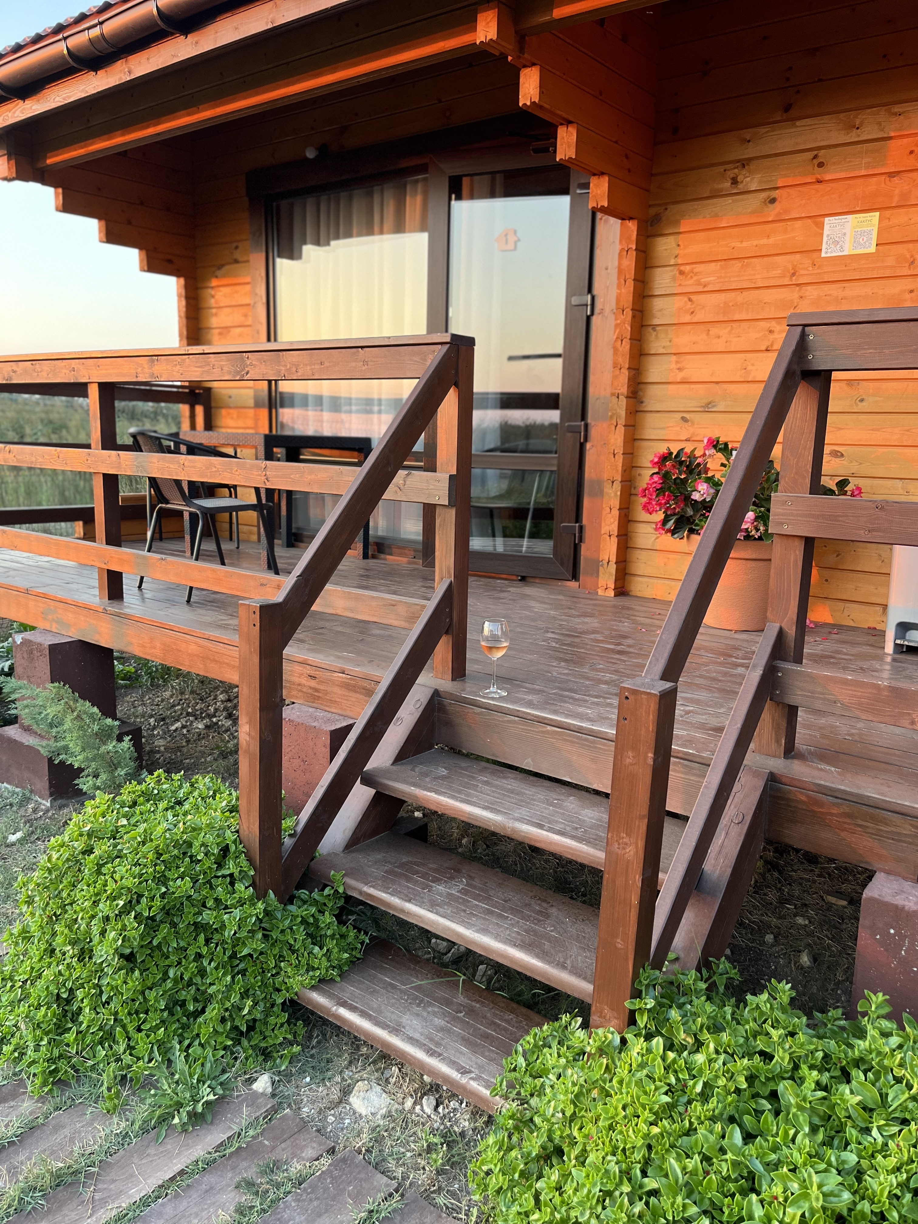 Фото Кактус