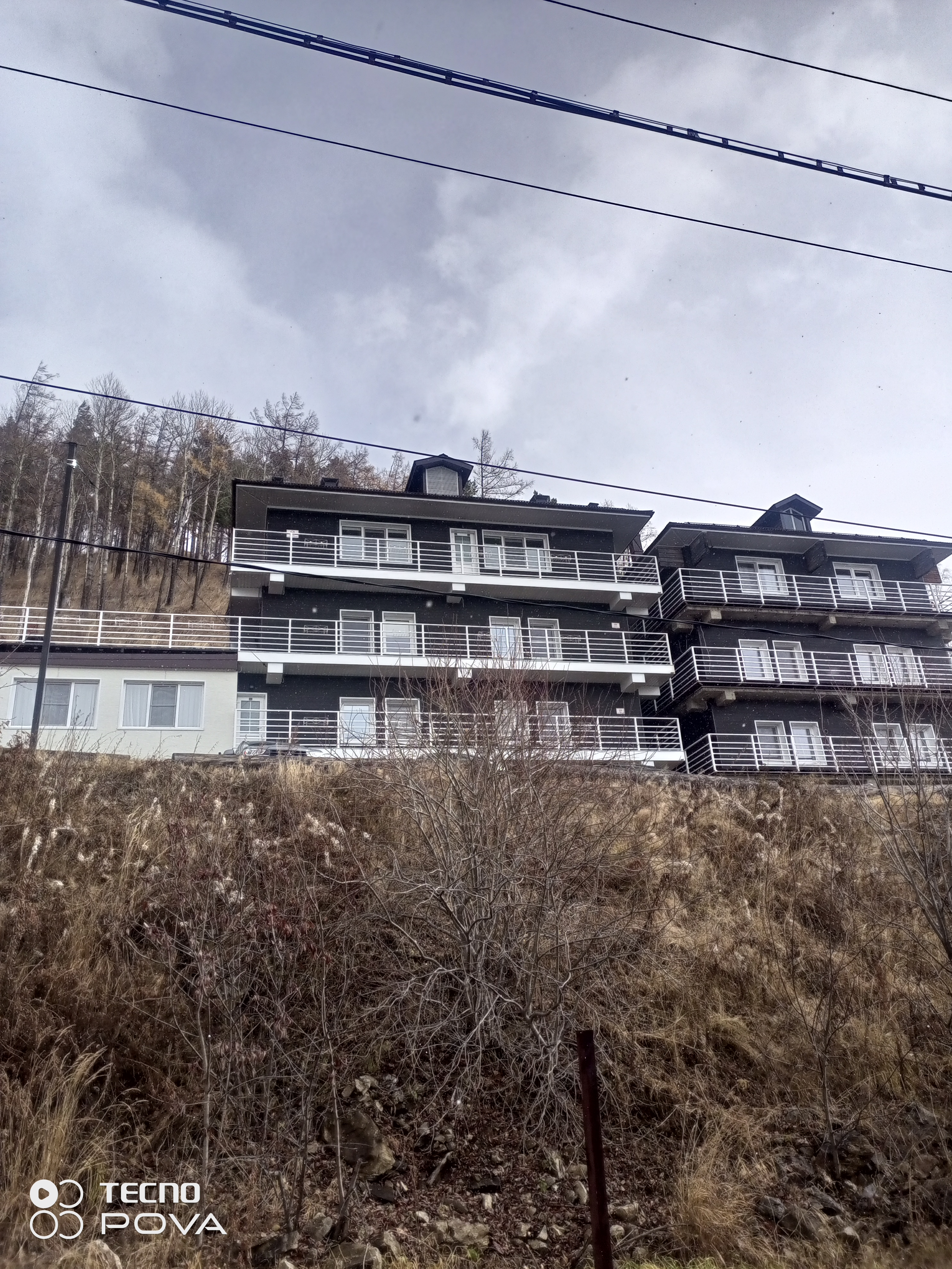 Фото Ларус