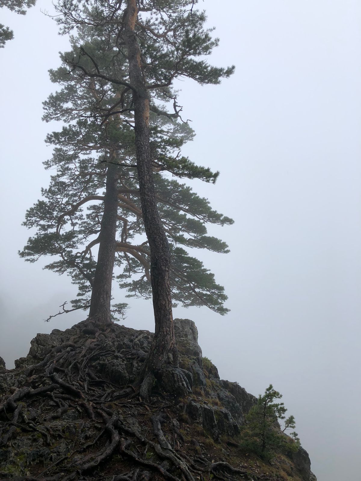 Фото Риал Лаго Наки