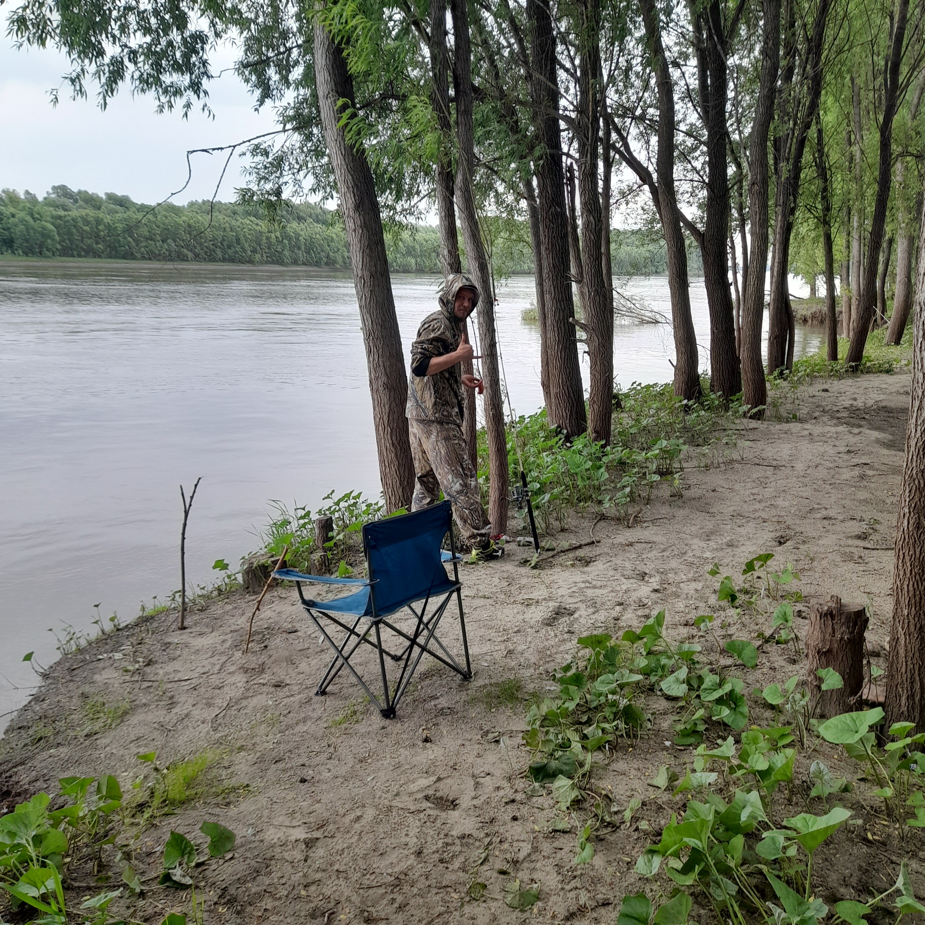 Фото Домик на дереве