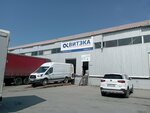 Viteka (Titova Street, 29лит4В) ، متعهد النقل