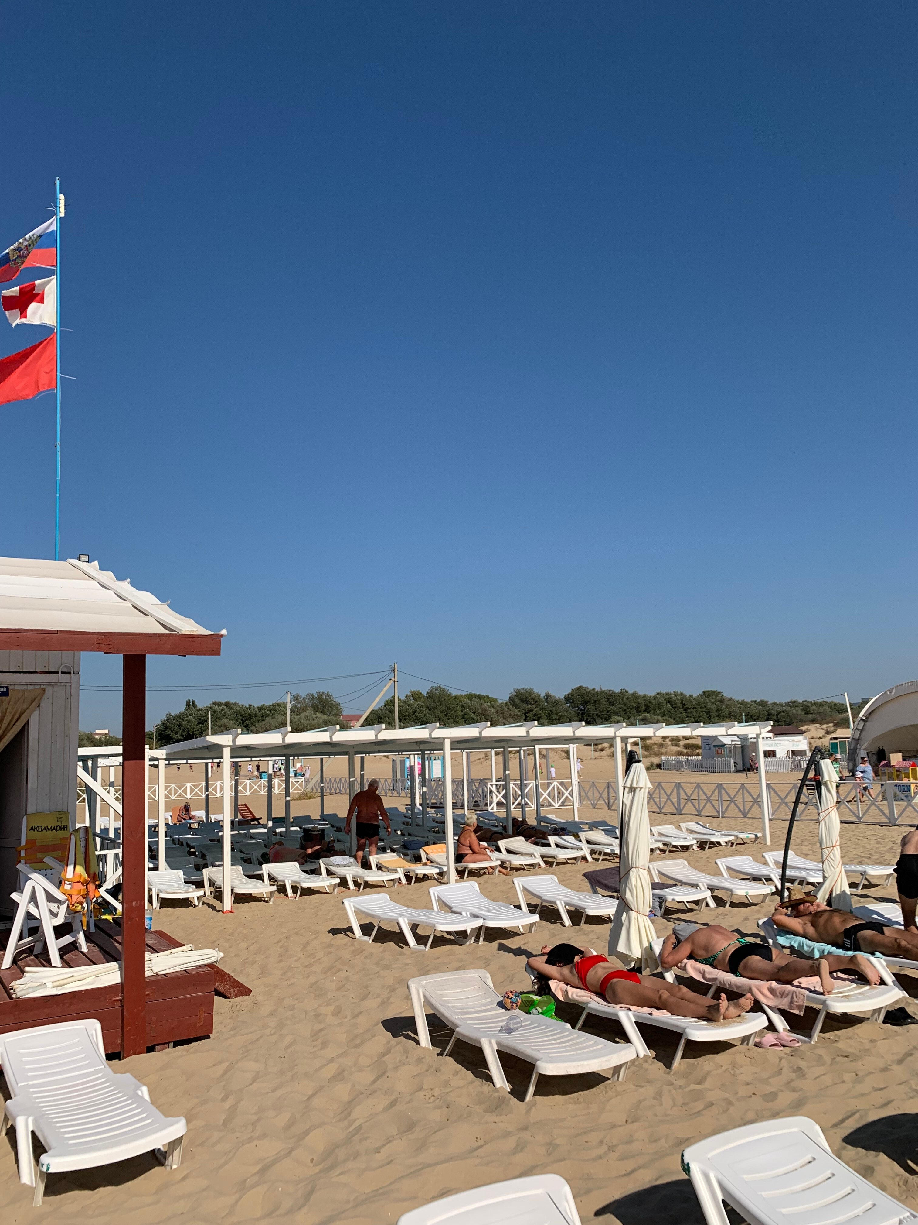 Фото Артика