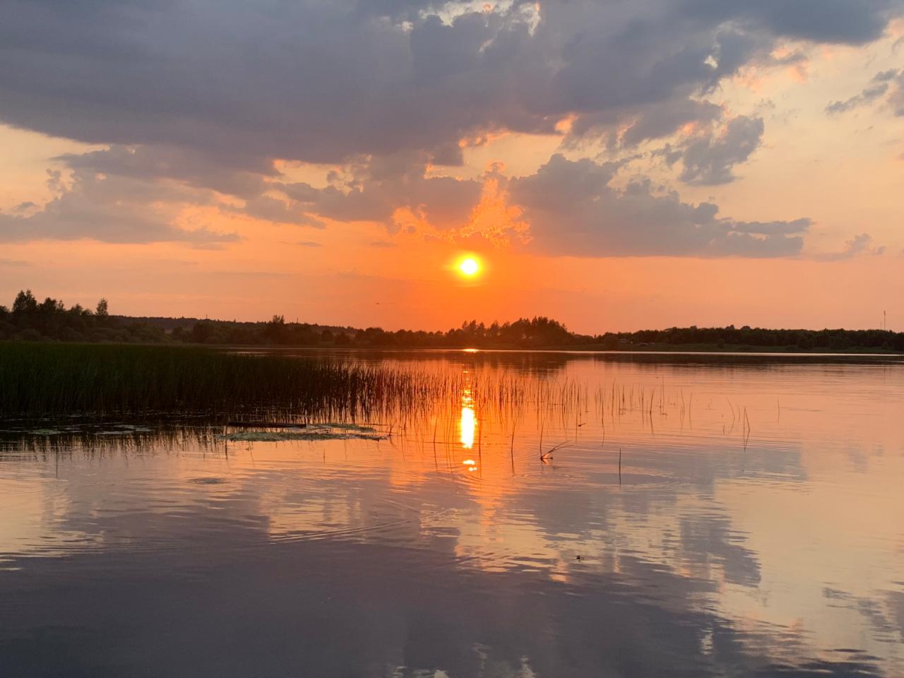 Фото Ферма моей мамы