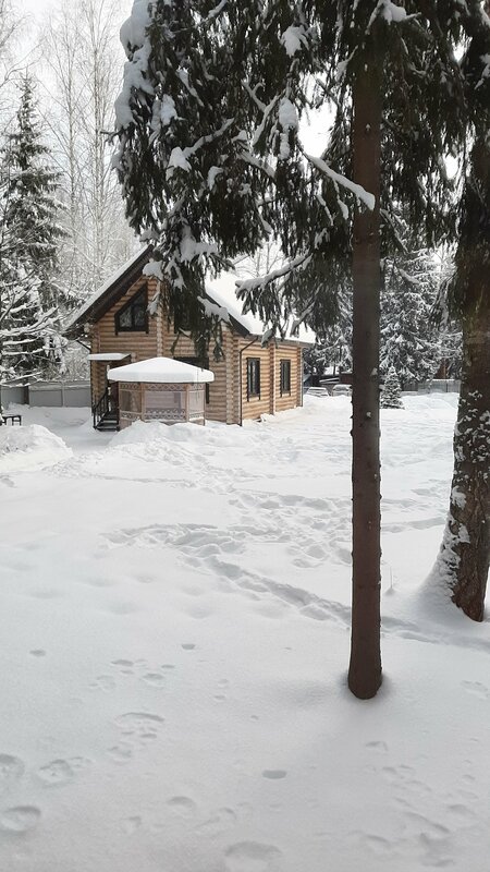Усадьба Ромашкино — фото 37