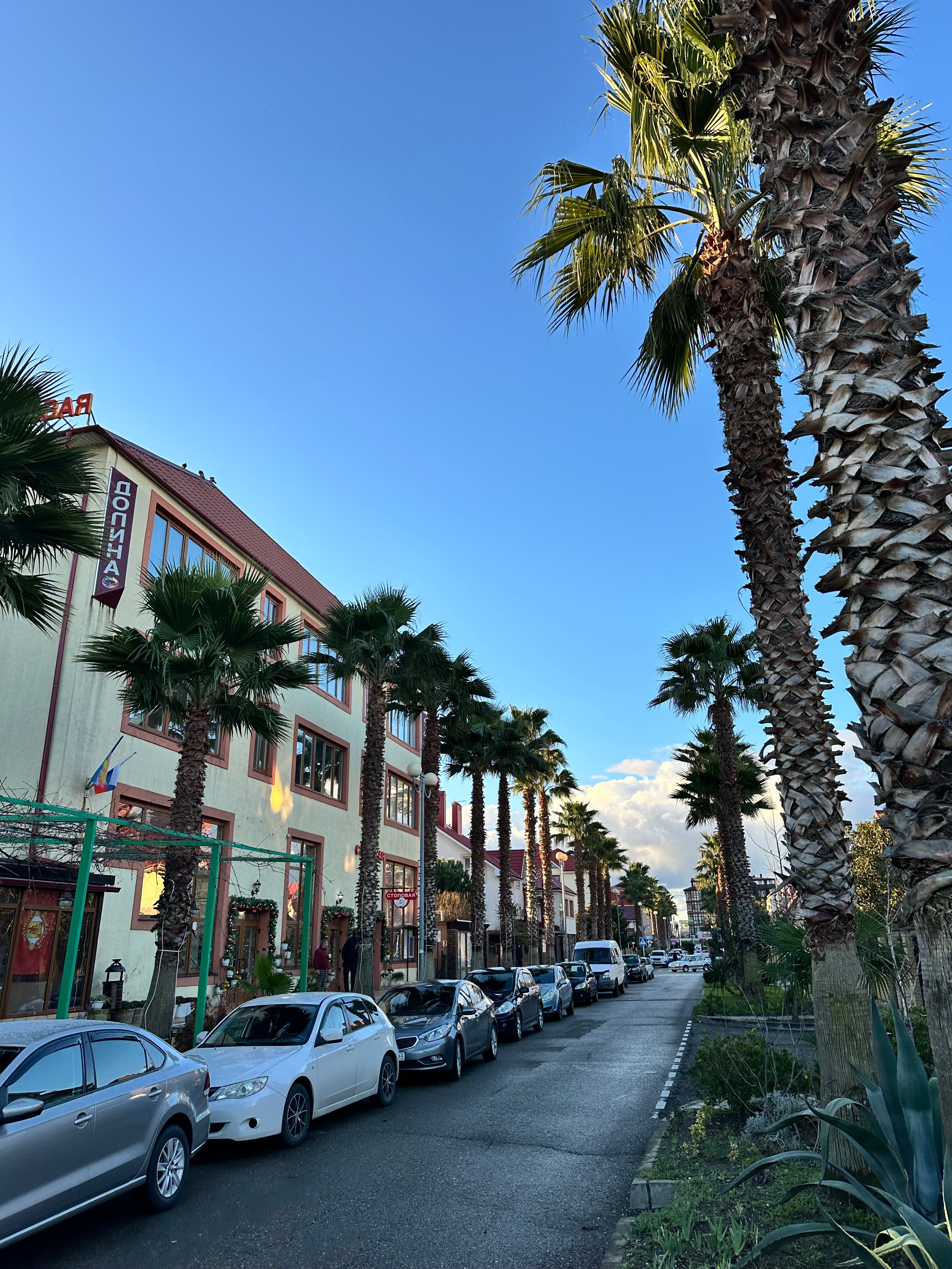 Фото Долина