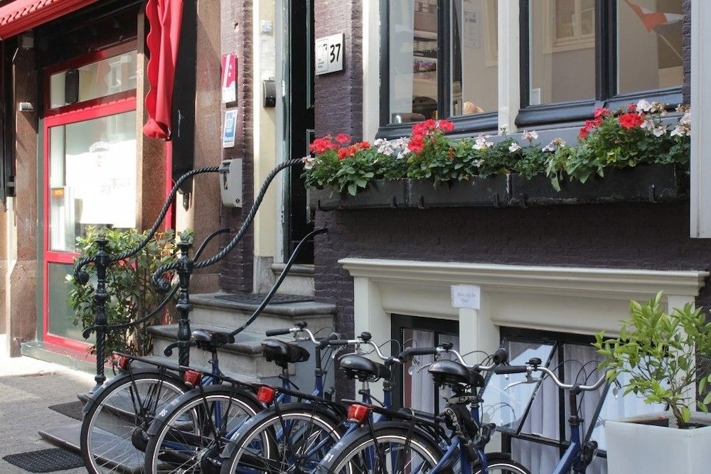 Фото Quentin Golden Bear Hotel