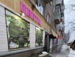 Dari Cveti (Mendeleeva Street, 18А) ، محل زهور