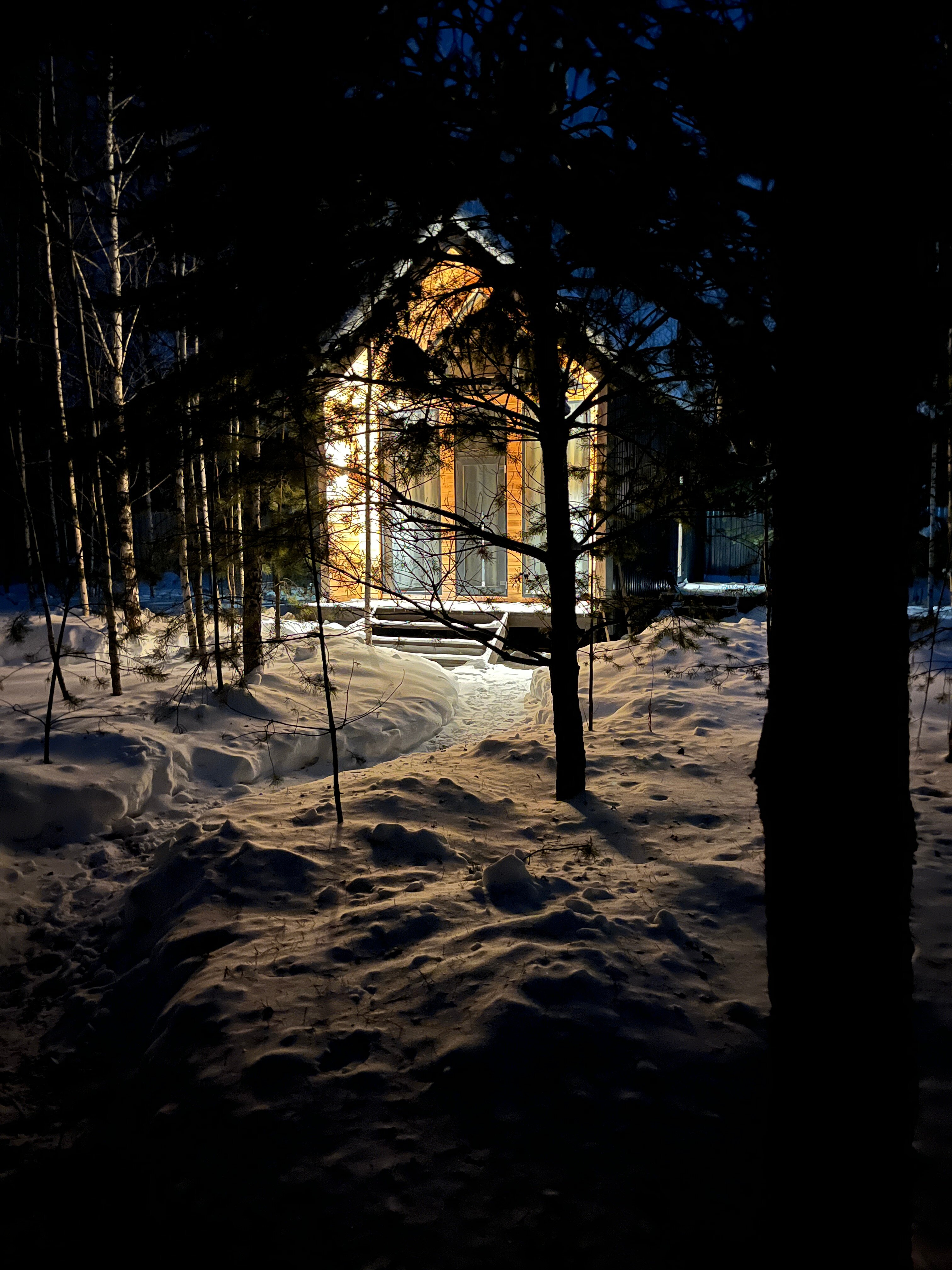 Фото Форест Барн