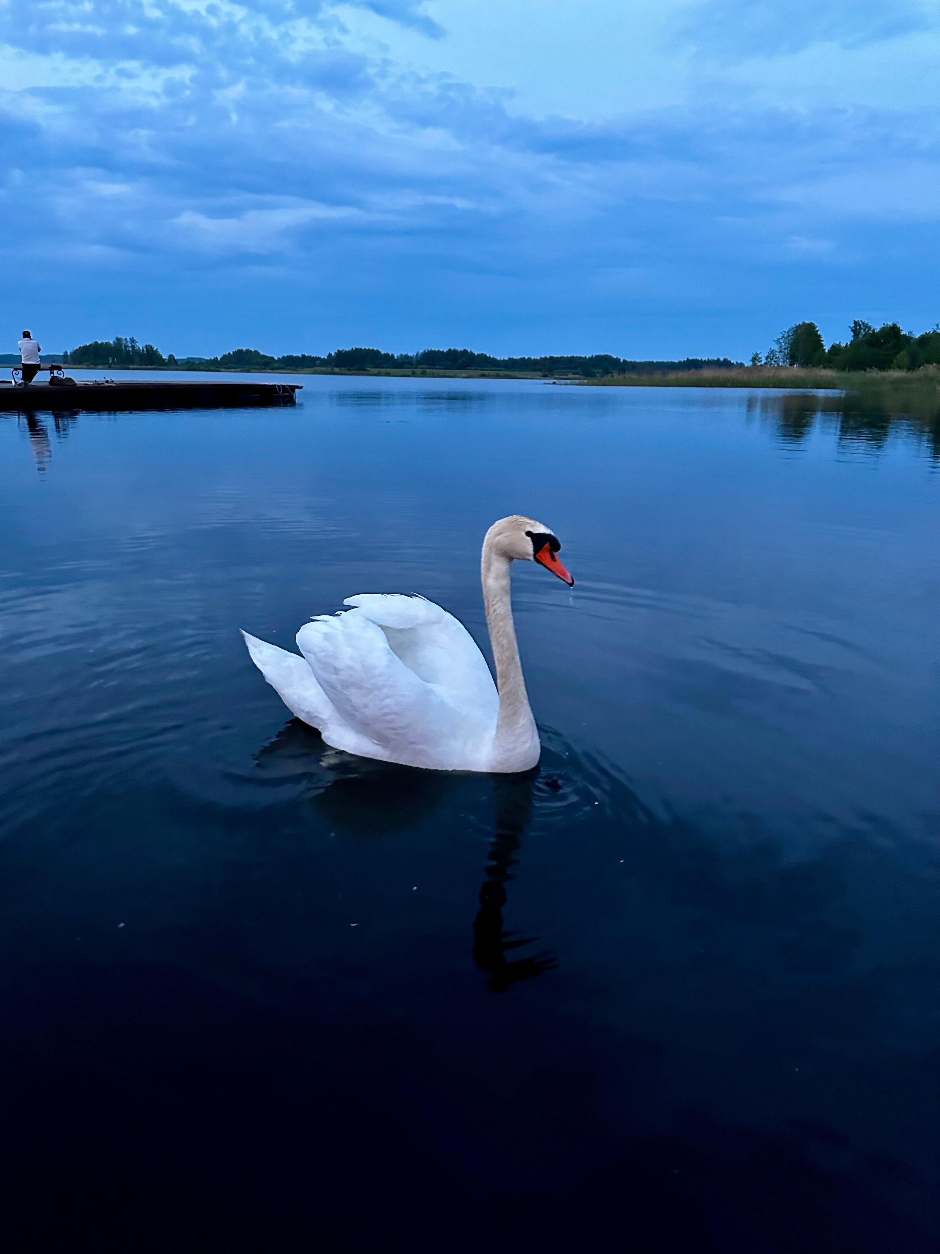 Фото Три медведя