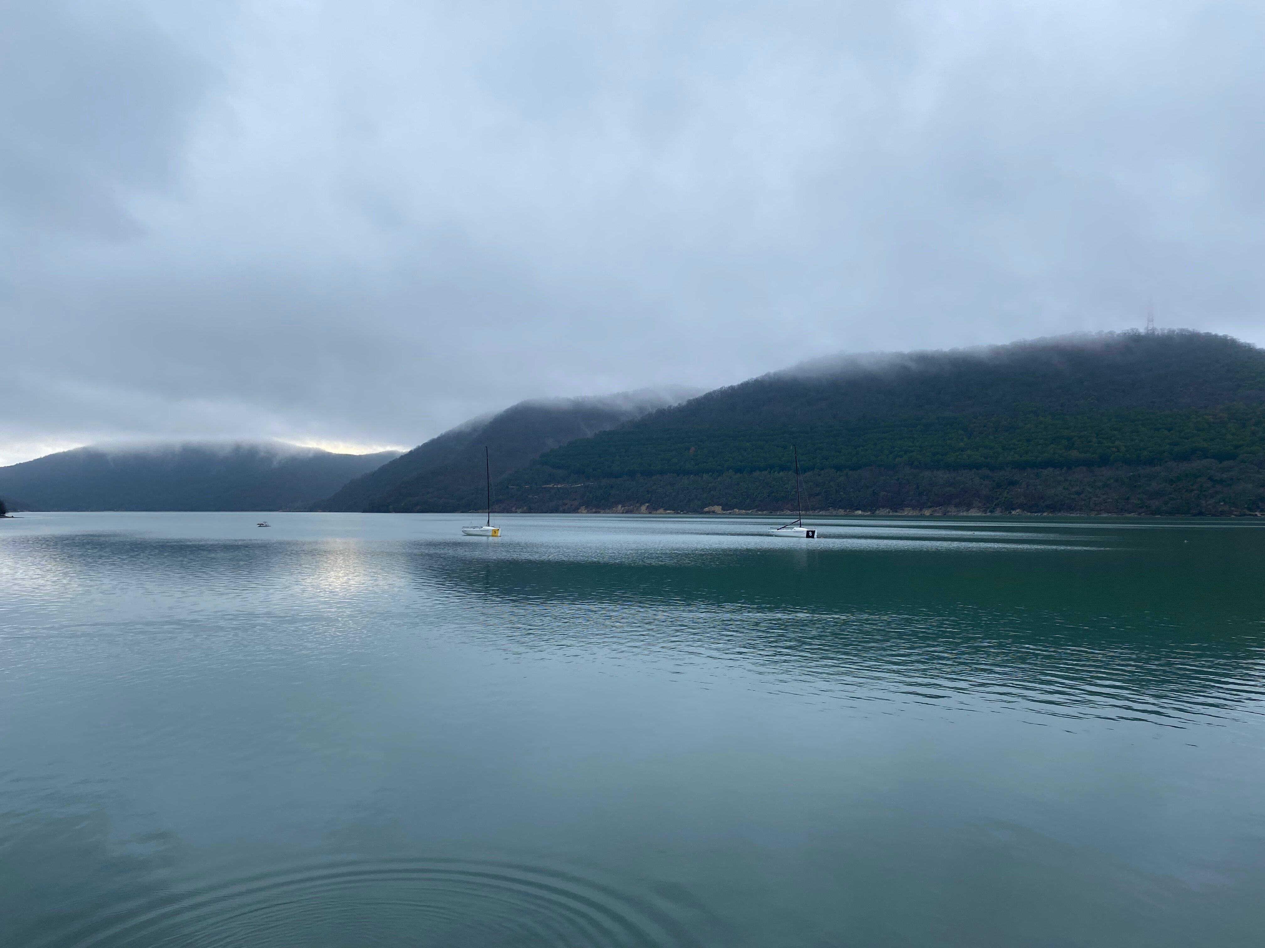 Фото Можжевеловое место