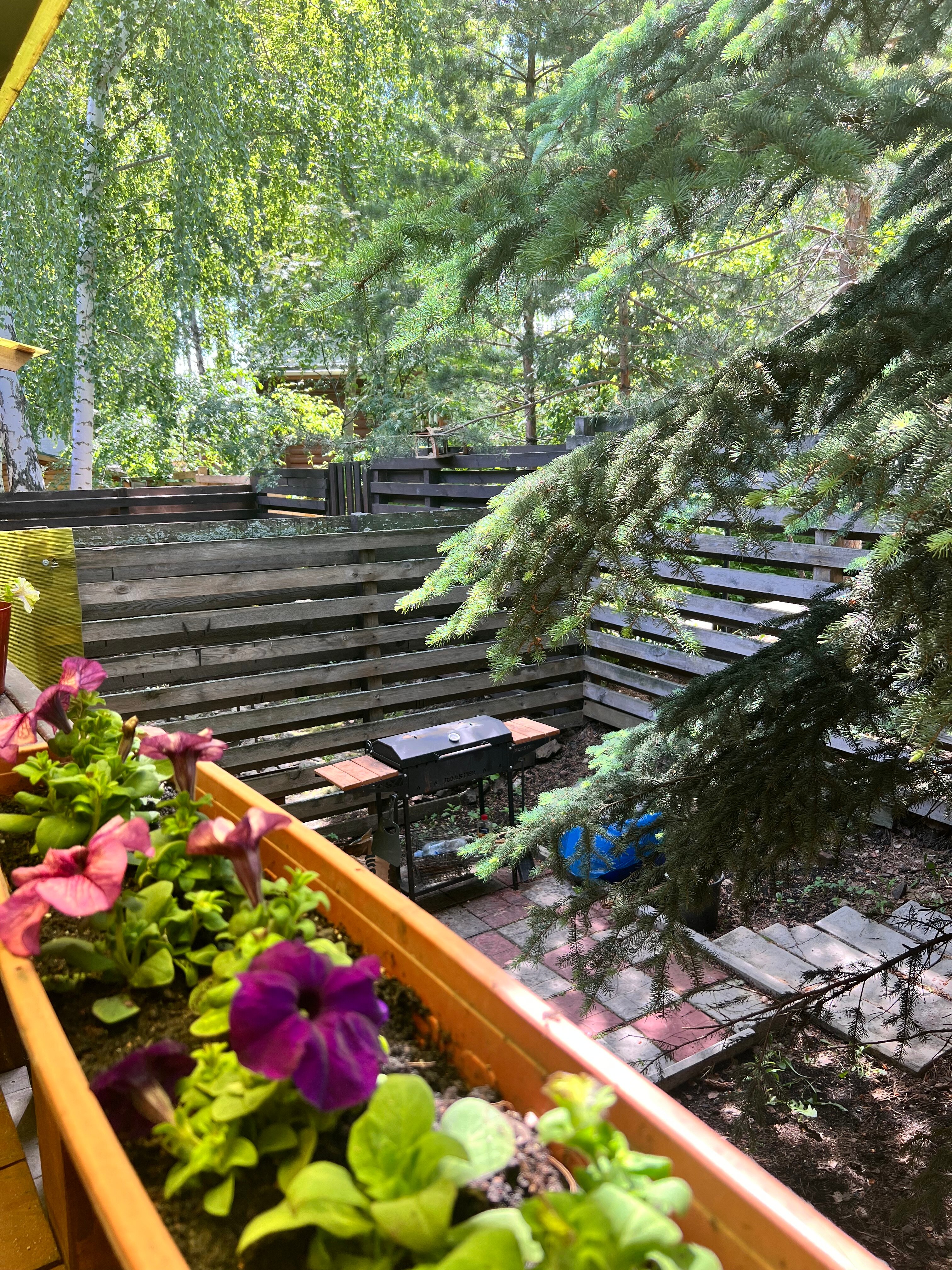 Фото Семейный