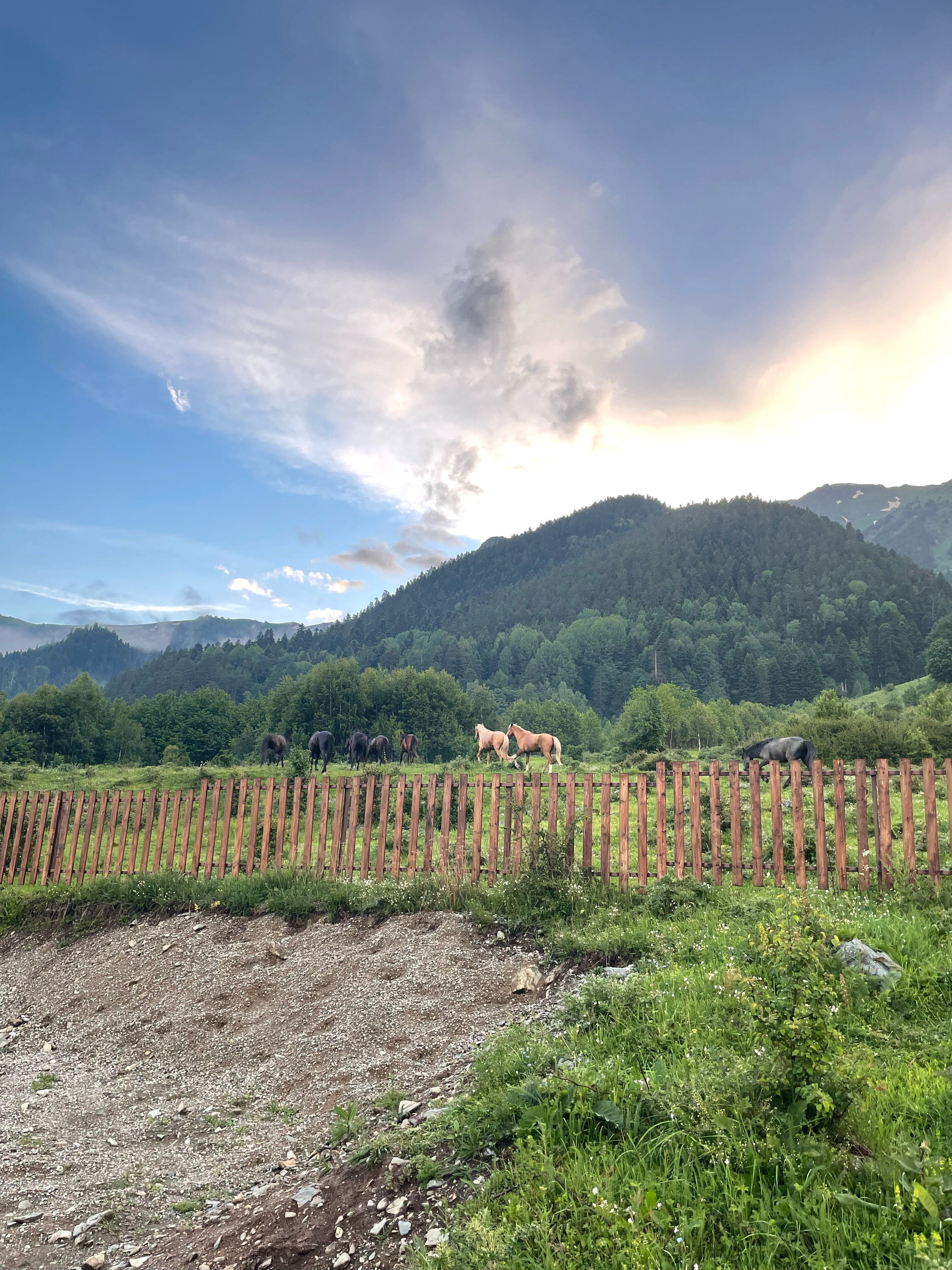 Фото Happy House