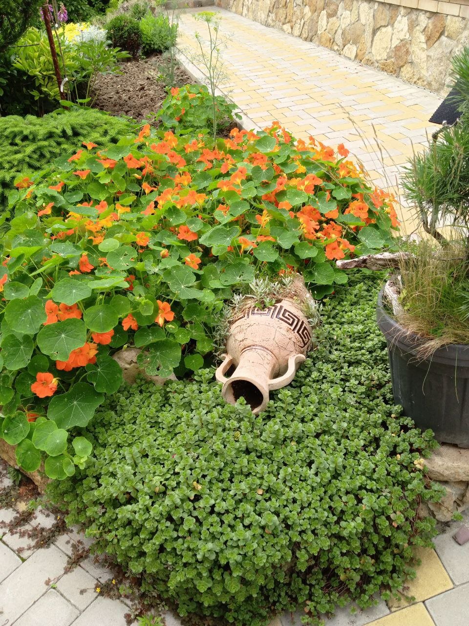 Фото Гостевой дом Крупской 1