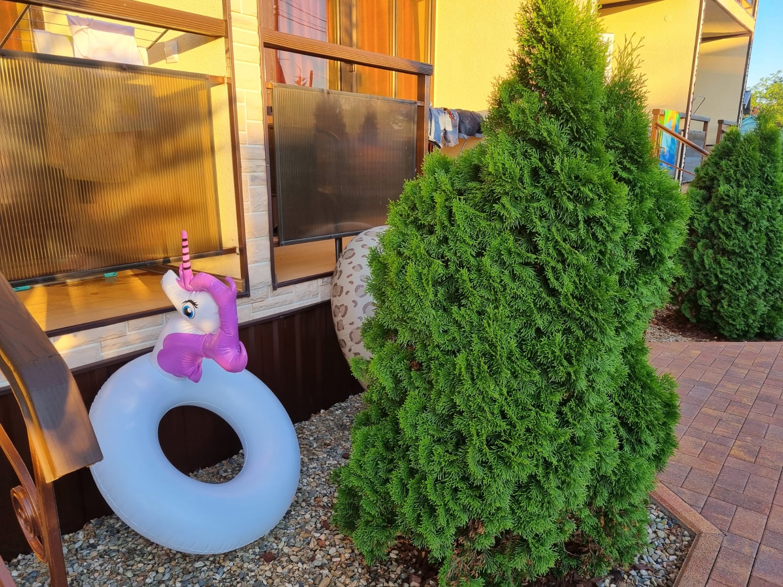 Фото Прованс