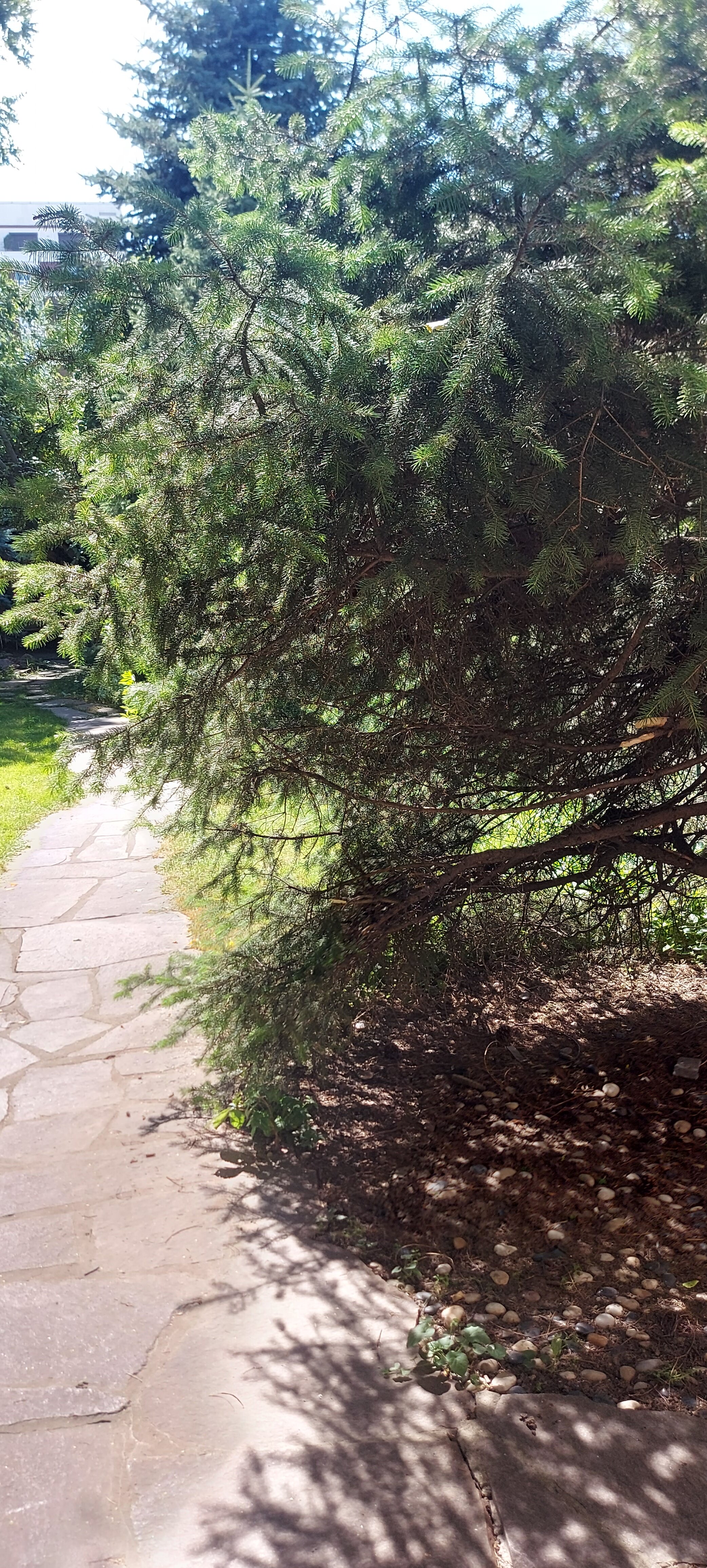 Фото Wanderlust Boutique Hostel