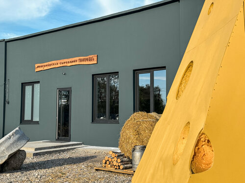 Mandıra Timofeev, Novgorodskaya oblastı, foto