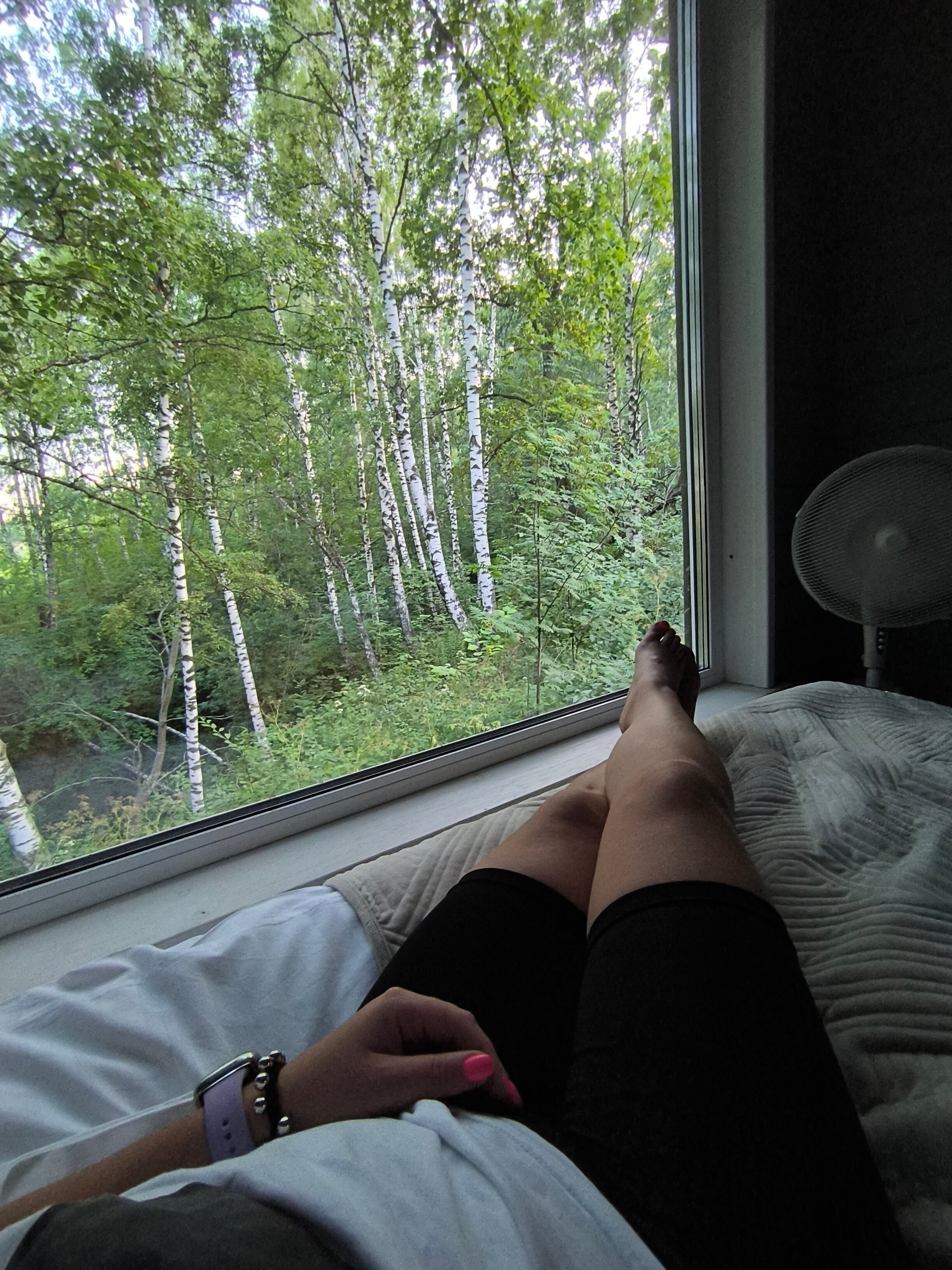 Фото Гармония тишины